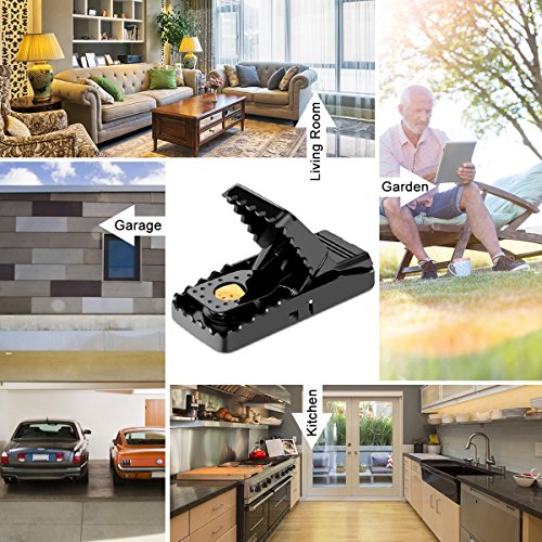 Image of Hdama Mouse Trap, Mouse Traps That Work Small Mice Trap Outdoor Indoor Best Snap Traps for Mouse /Mice Safe and Reusable 6 Pack Quick Kill Mice Traps | Small snap design for mice and rats. Safe, reusable for home use. Effective and clean trap.