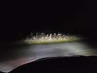 Review Image by Evan L. Evan L.