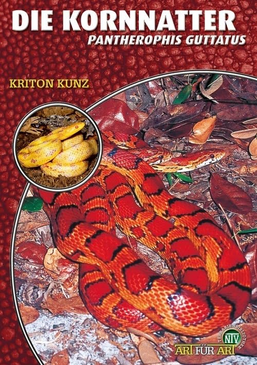 Die Kornnatter: Pantherophis guttatus (Buchreihe Art für Art Terraristik)