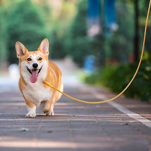 Miniatura 6 de Boswany Correa de nailon ligera para perros pequeños, de 7 pies, para cachorros, gatos, animales pequeños, perros medianos y caminando