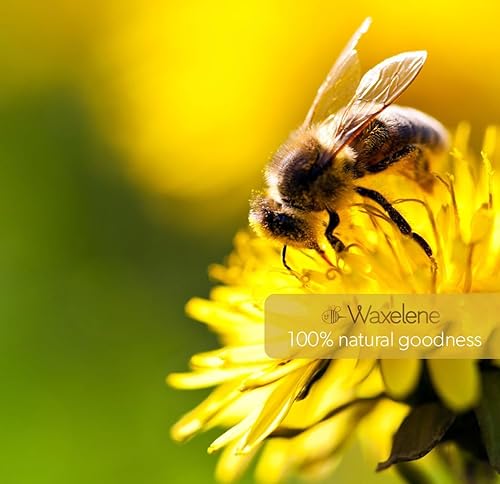 Miniatura 7 de Waxelene vaselina alternativa, WAXJ2AM, 2 onzas, 1, 1