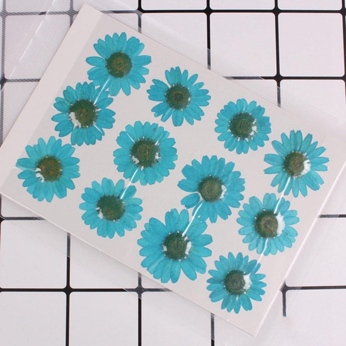 Getrocknete gepresste Blumen, 12 Stück 2–3 cm gepresste, gepresste, getrocknete Gänseblümchen-Trockenblumen for Harz-Anhänger, Halskette, Schmuckherstellung, Basteln, DIY-Zubehör, Rot(Sky Blue)