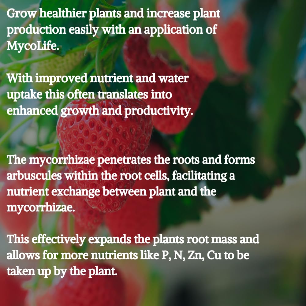 MycoLife 5X Highly Concentrated Mycorrhizal Inoculant Root Stimulator/Enhancer. Get Access to More nutrients, Healthier Plants and Better Crops! - Image 6