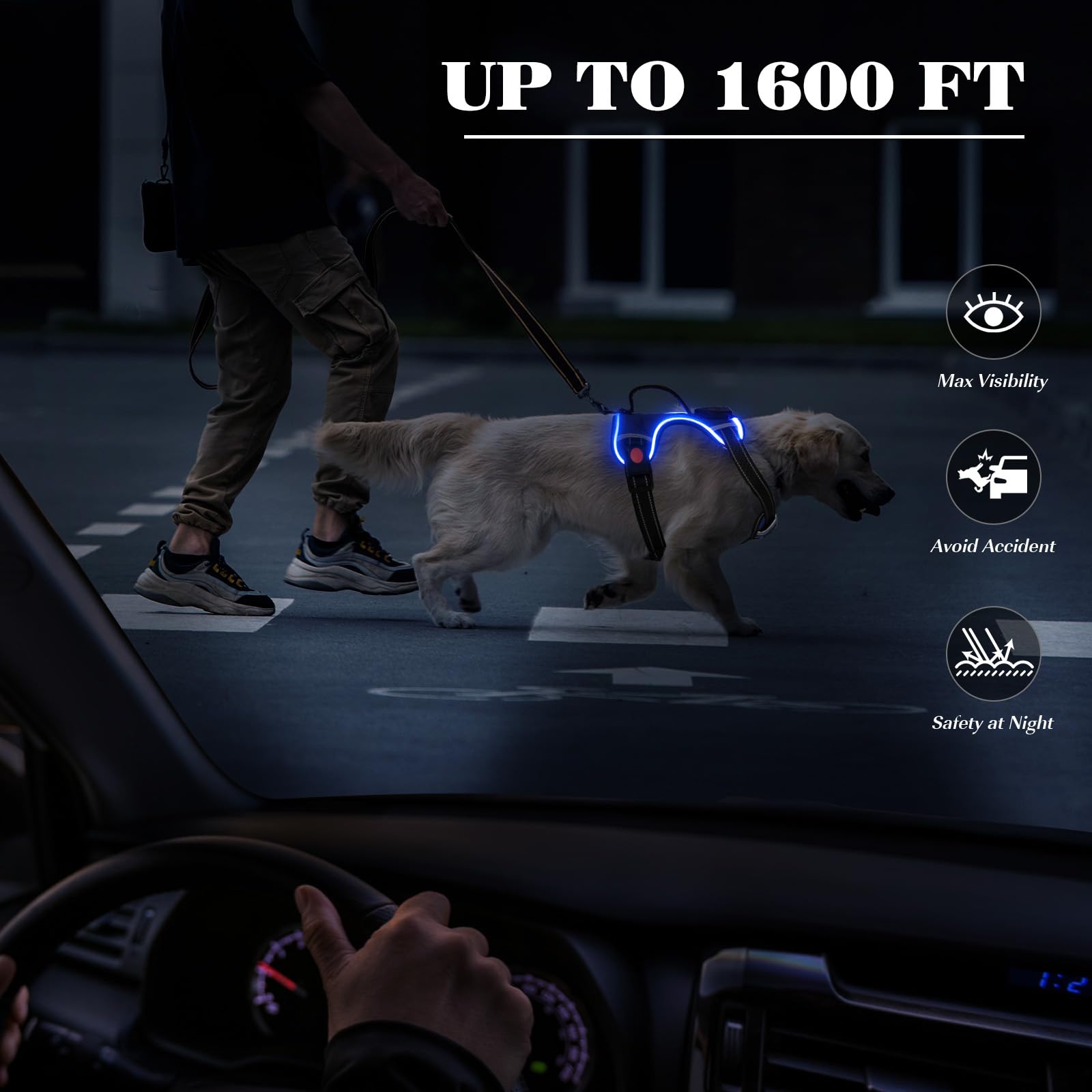YFbrite Light up Dog Harness, Adjustable Waterproof LED Dog Harness for Small Medium and Large Dogs (Blue, X-Large) - Image 4