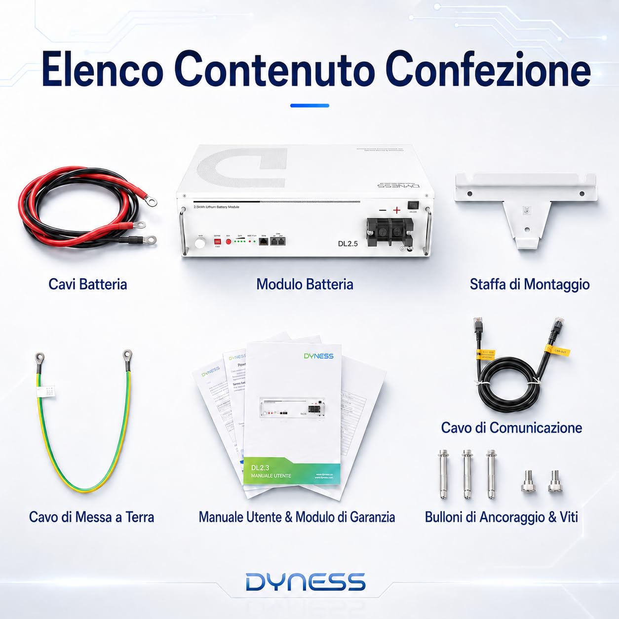Dyness 24V 100Ah Batterie LiFePO4 con Bluetooth, BMS100A, 6000 Cicli Profondi, Supporto CAN & RS485, Batteria Solare al Litio Ferrofosfato da 2,56kWh per Impianto Solare Completo, Sistema Fotovoltaico
