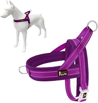 Plutus Pet No Pull Dog Harness for Large Dogs, Breathable Mesh Padded