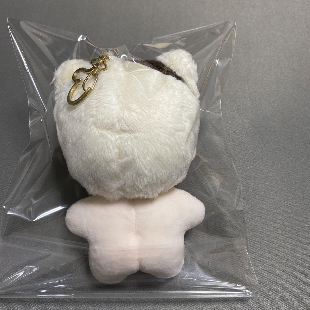 ジェミン　10cm ぬいぐるみ　新品　マスター　nct NCT DREAM ジェミン マスター ぬいぐるみ キーホルダー 10cm