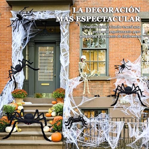 Moda y Accesorios, DVD Imagen adicional