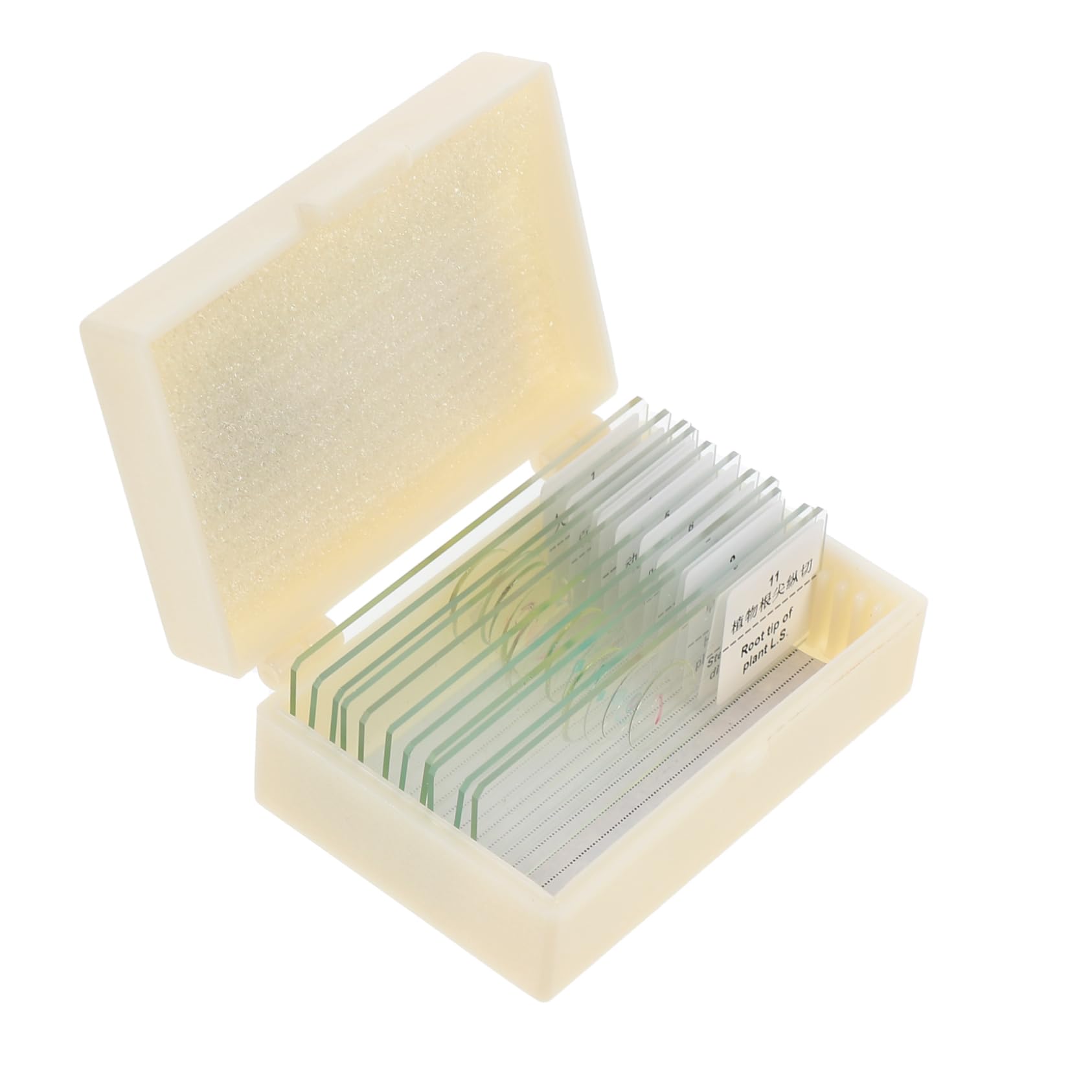 NAMOARLY Glass Microscope Slides 100 Pieces for School Experiments Lab Accessory Blank for Observati