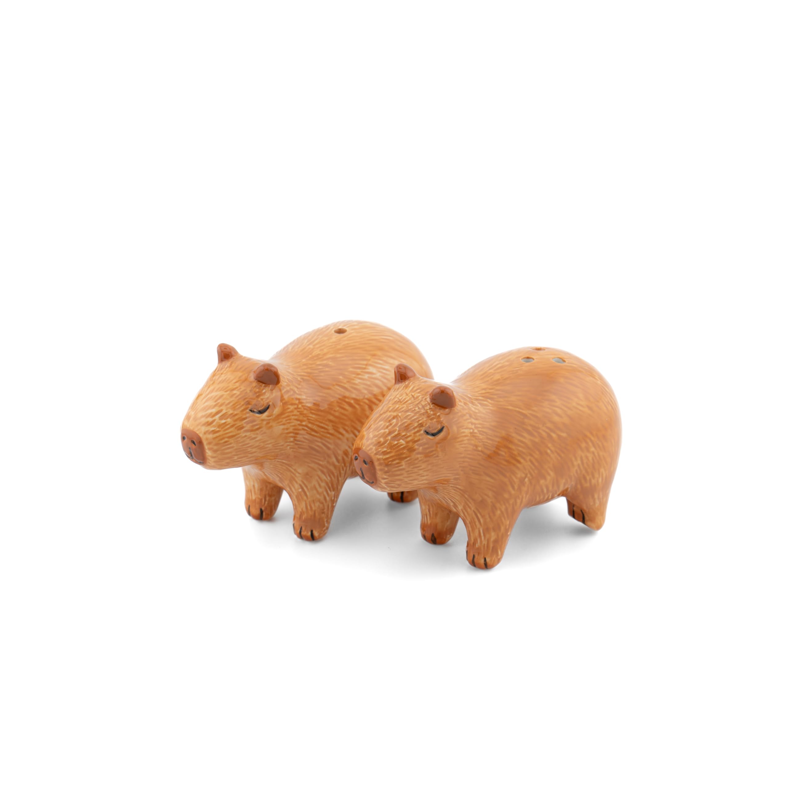 Capybara Salt & Pepper Shakers - Salt and Pepper Set Decorative Kitchen Accessories for Dining Table Accessories Home Decor Styling Unique House Gifts and Table Decorations