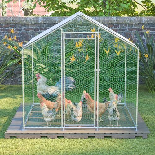 voliere poule,Enclos à poules 2x2x2m avec Toit Imperméable PE, Poulailler en Métal Galvanisé pour Extérieur, Cage à Poules avec Serrure de Sécurité, Parc pour Poules, Lapins, Canards et Petits Animaux