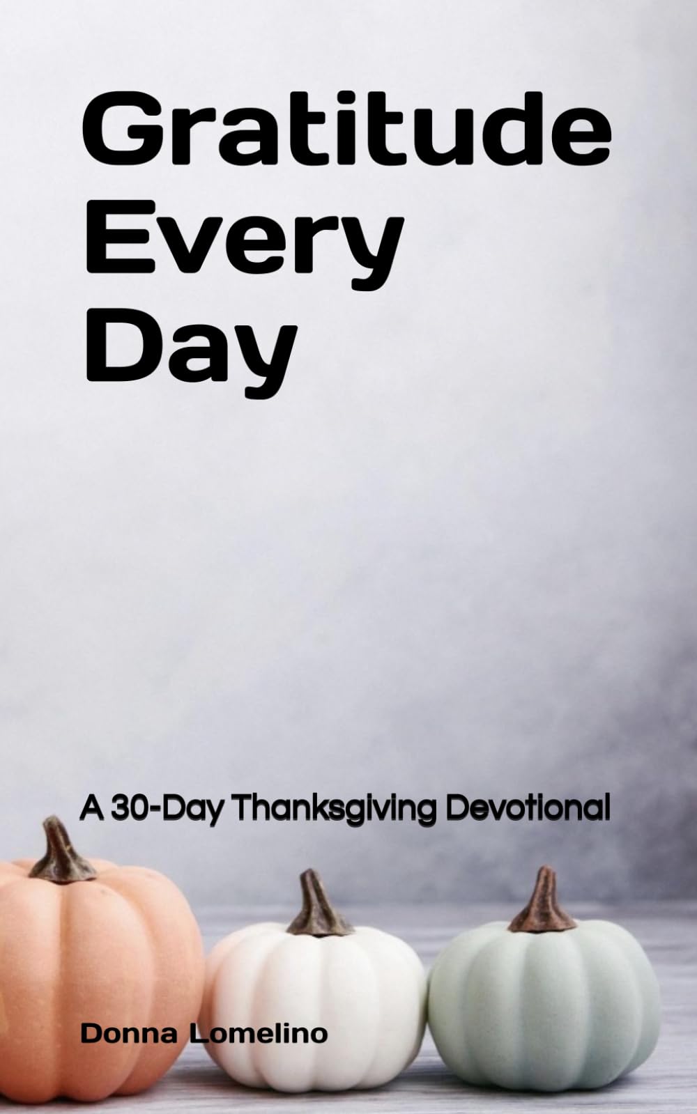 Gratitude Every Day: A 30-Day Thanksgiving Devotional (The Quiet Practice Series)