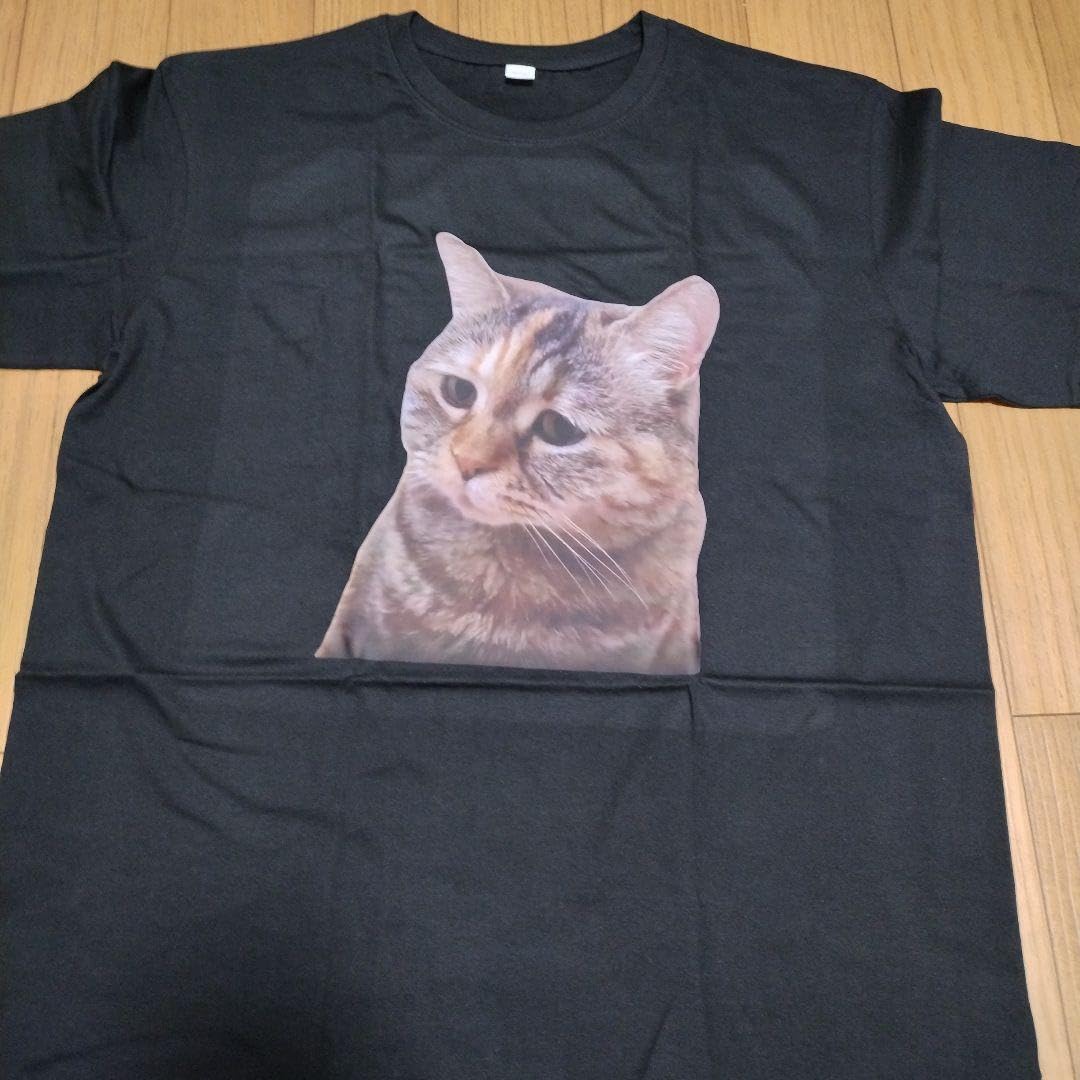 Amazon.co.jp: 猫ミーム 海外ミーム ミーム Tシャ : おもちゃ