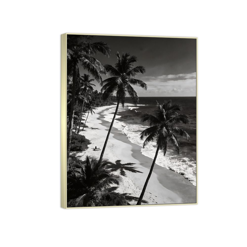 Beach Tree Black White Landscape Canvas Picture 70x90cm Silver Frame