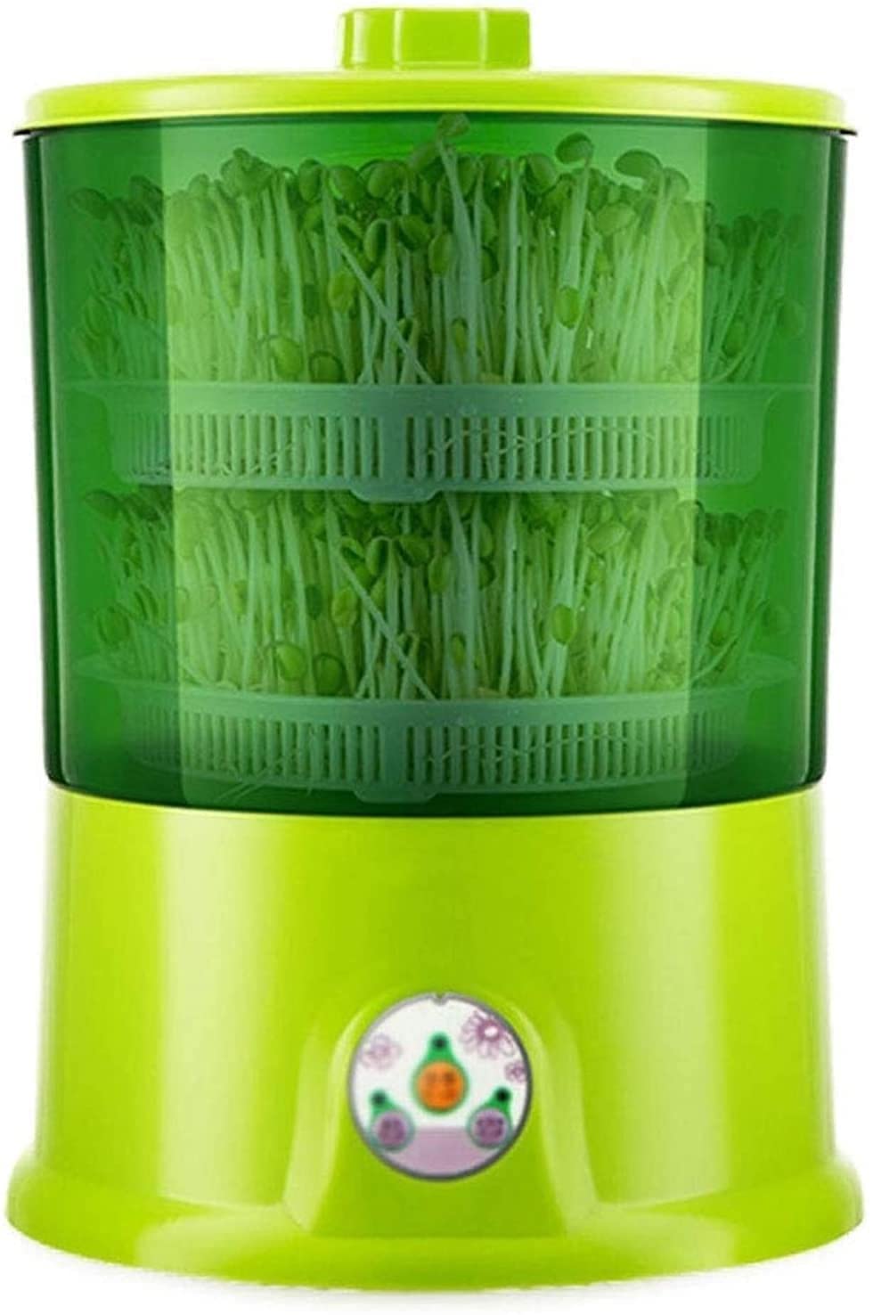 Germoir automatique pour haricots et soja sans arrosage manuel