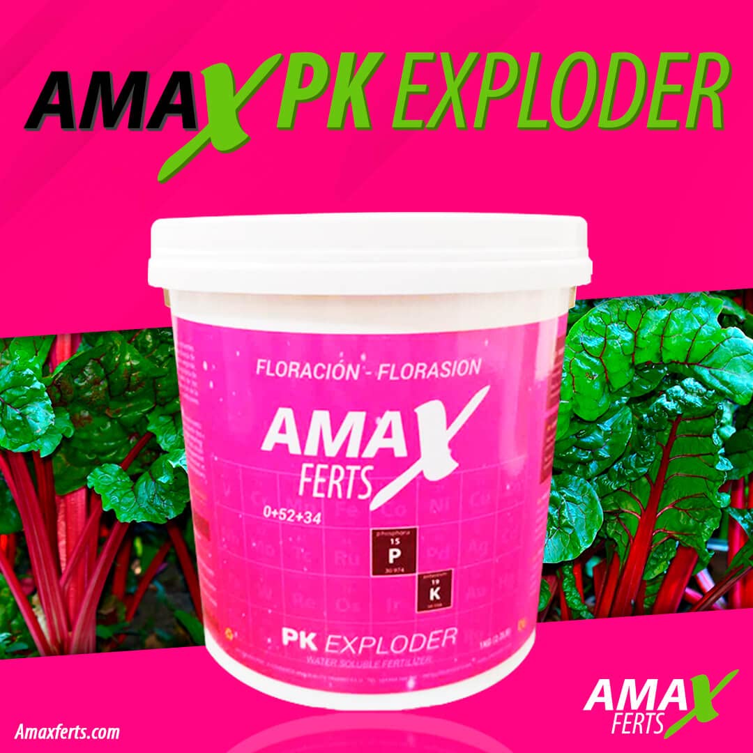 Fertilizante PK Exploder 1kg - Engorde para flores, frutos y cogollos - Fertilizante en polvo para floración rico en fósforo y potasio - Abono para todo tipo de plantas