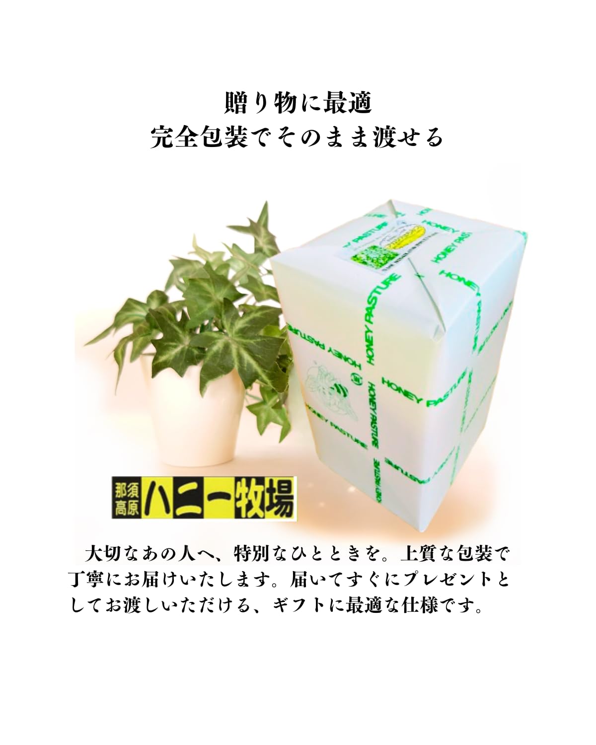 Amazon | はちみつ 那須高原ハニー牧場 アカシアはちみつ 純粋