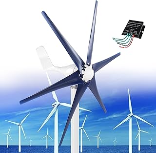 Aerogenerador de 12000 W, 12 V/24 V/48 V, pequeño generador de 5 palas con controlador, kit de generador trifásico de imán permanente para barcos, terrazas, cabañas o viviendas, color azul marino, 24