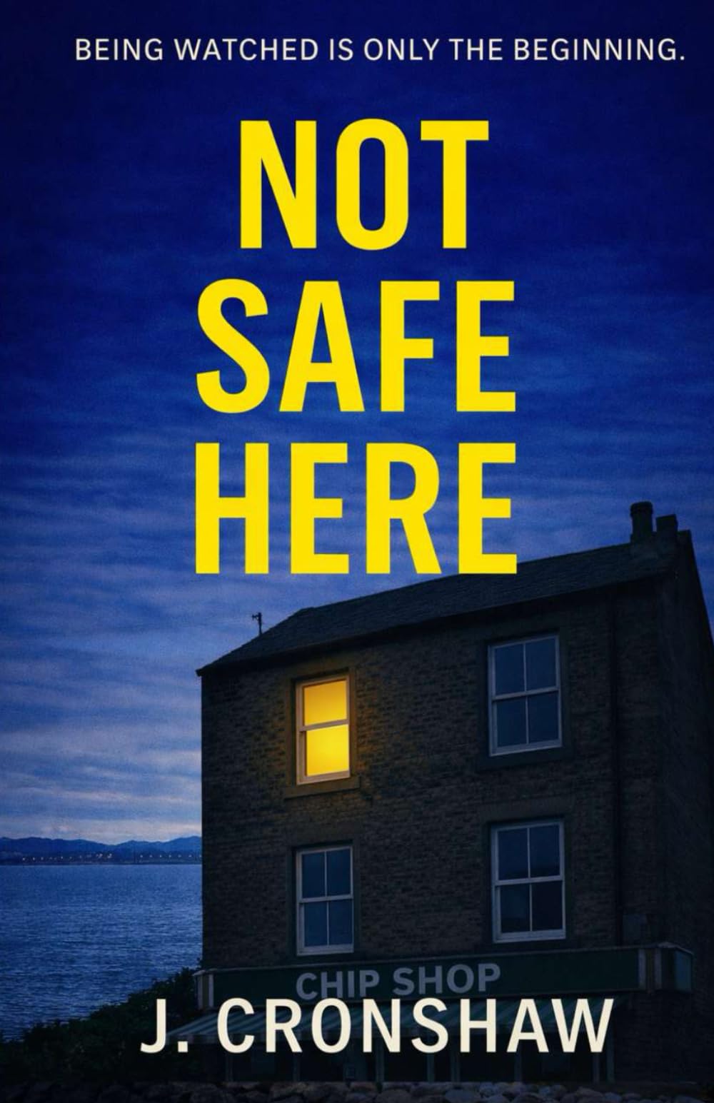 Not Safe Here (Standalone Psychological Thrillers)