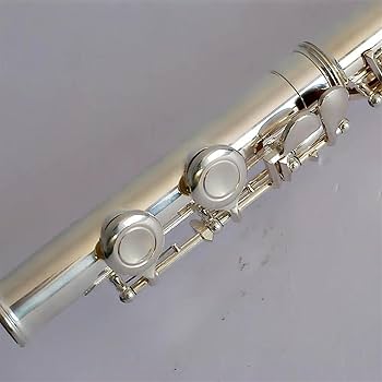 Amazon | フルート楽器 高級C銀メッキフルート楽器 | フルート | 楽器