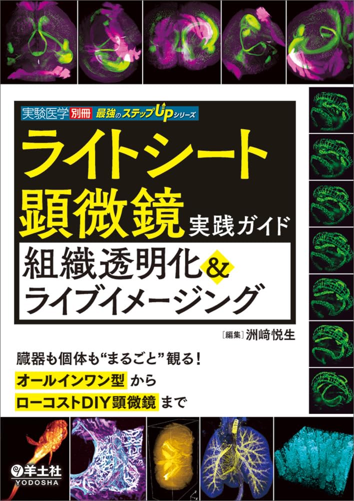 Leishouer Leishouer Leishouer ー__PLACEHOLDER_BRAND_10__ ン