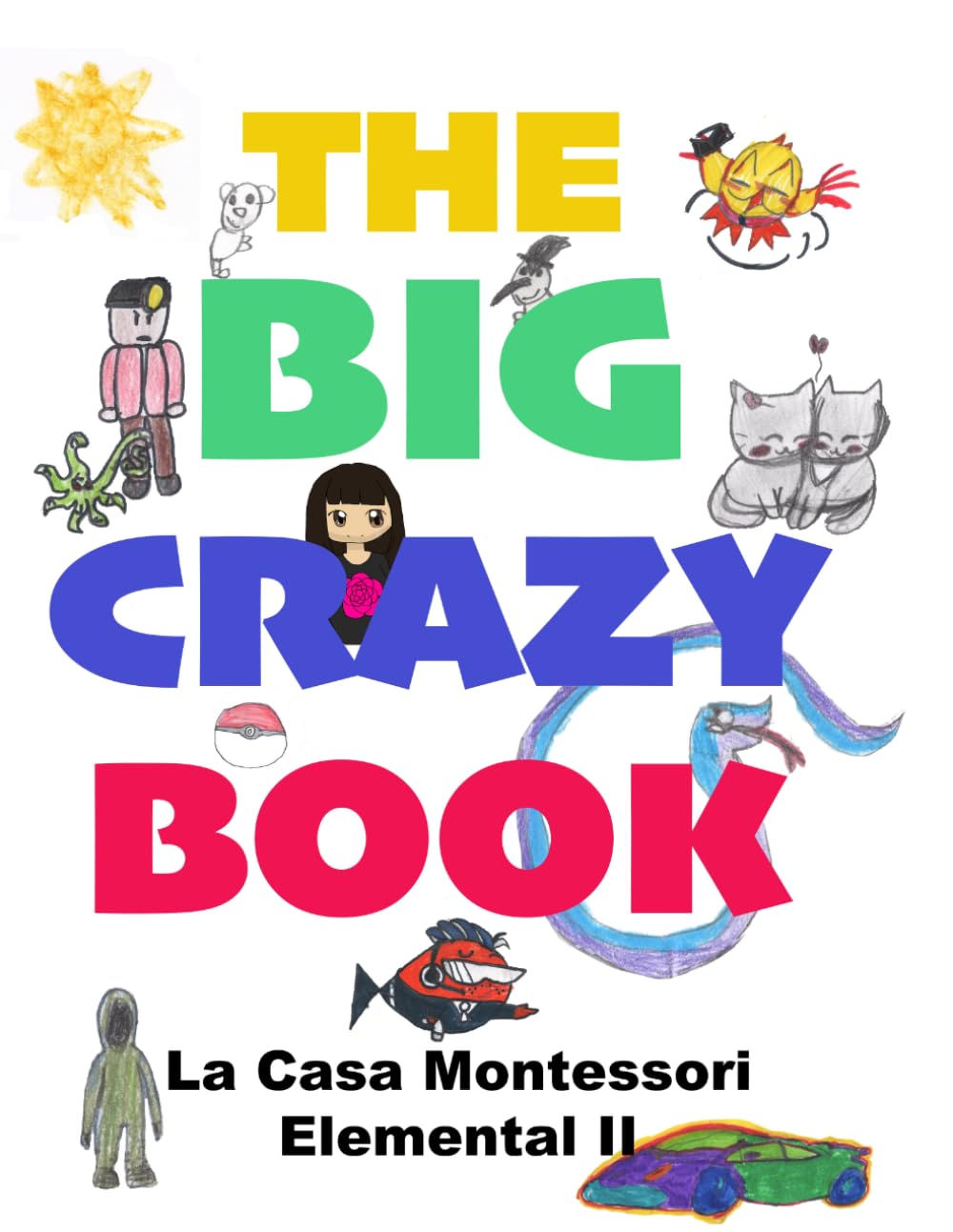 The Big Crazy Book