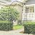 Trellume Garden Arch - 87"(H)*47"(L), Rust-Resistant and Sturdy Metal Garden Arbor, Trellis for Climbing Plants Outdoor, Use for Backyard, Patio, Lawn and Wedding Decorations?20MM Pipe?