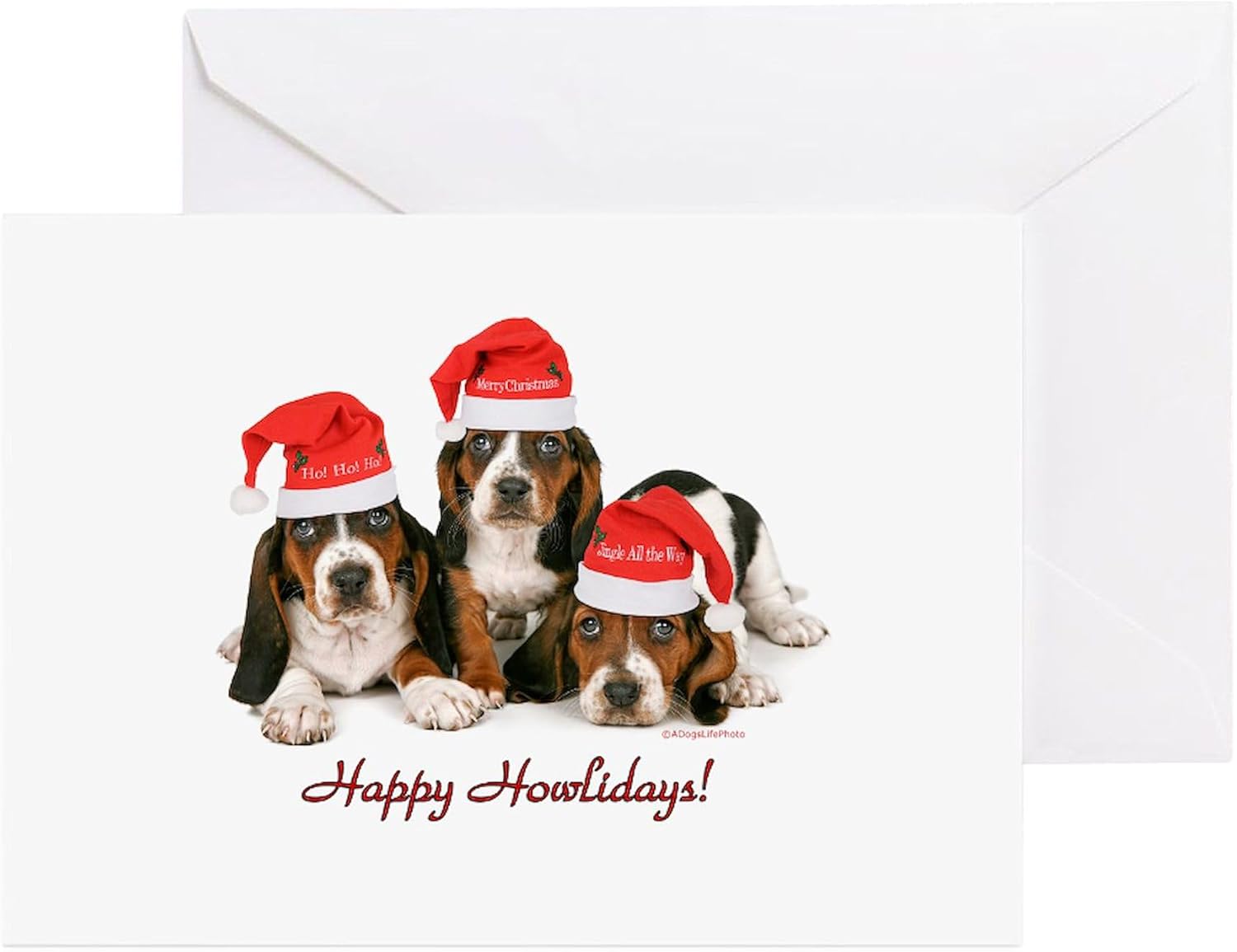 CafePress Basset Hound Christmas Folded Greeting Cards (10-pack) Matte