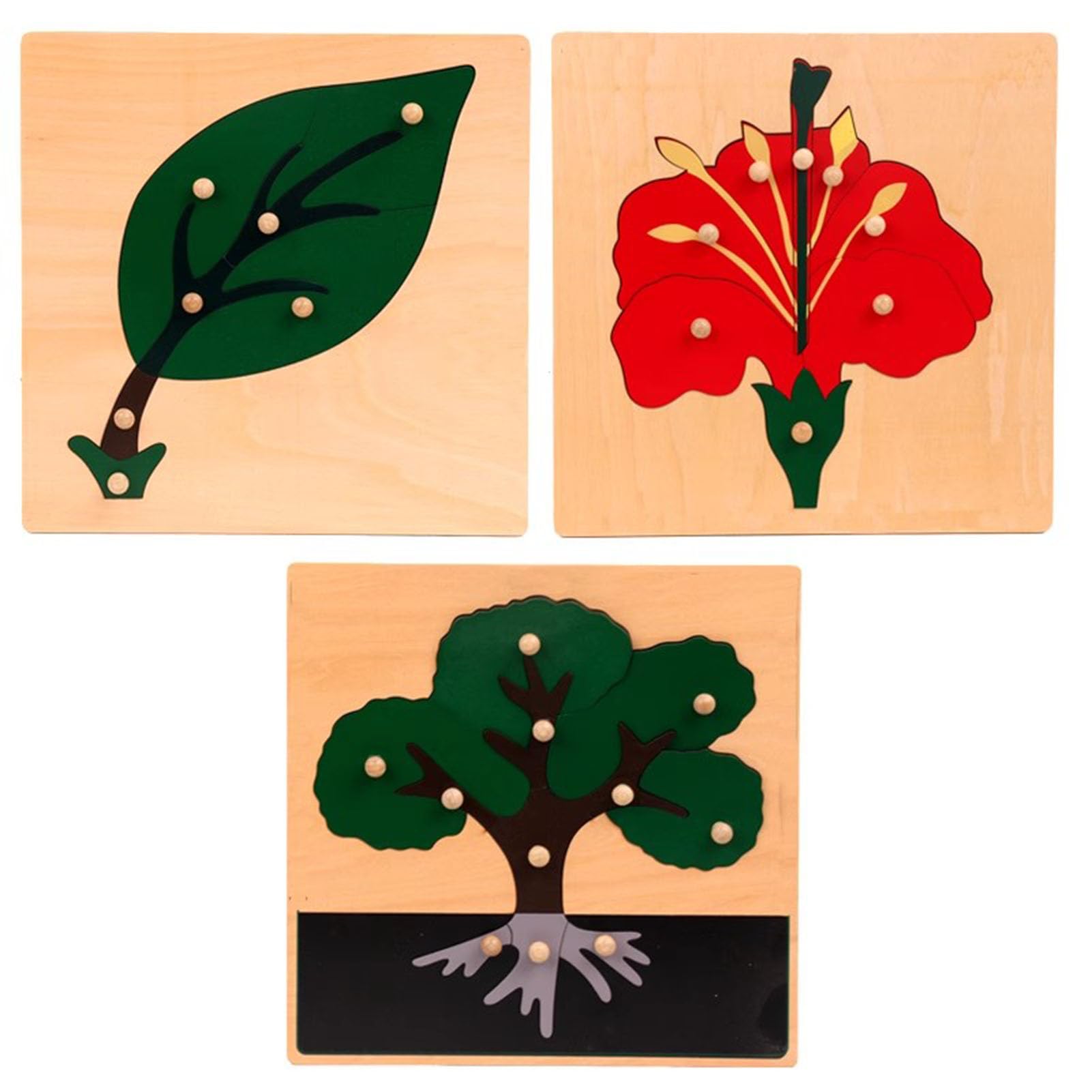 Juego de Rompecabezas de Paneles de Madera de Plantas Montessori, Rompecabezas de educación Infantil (3 Piezas)