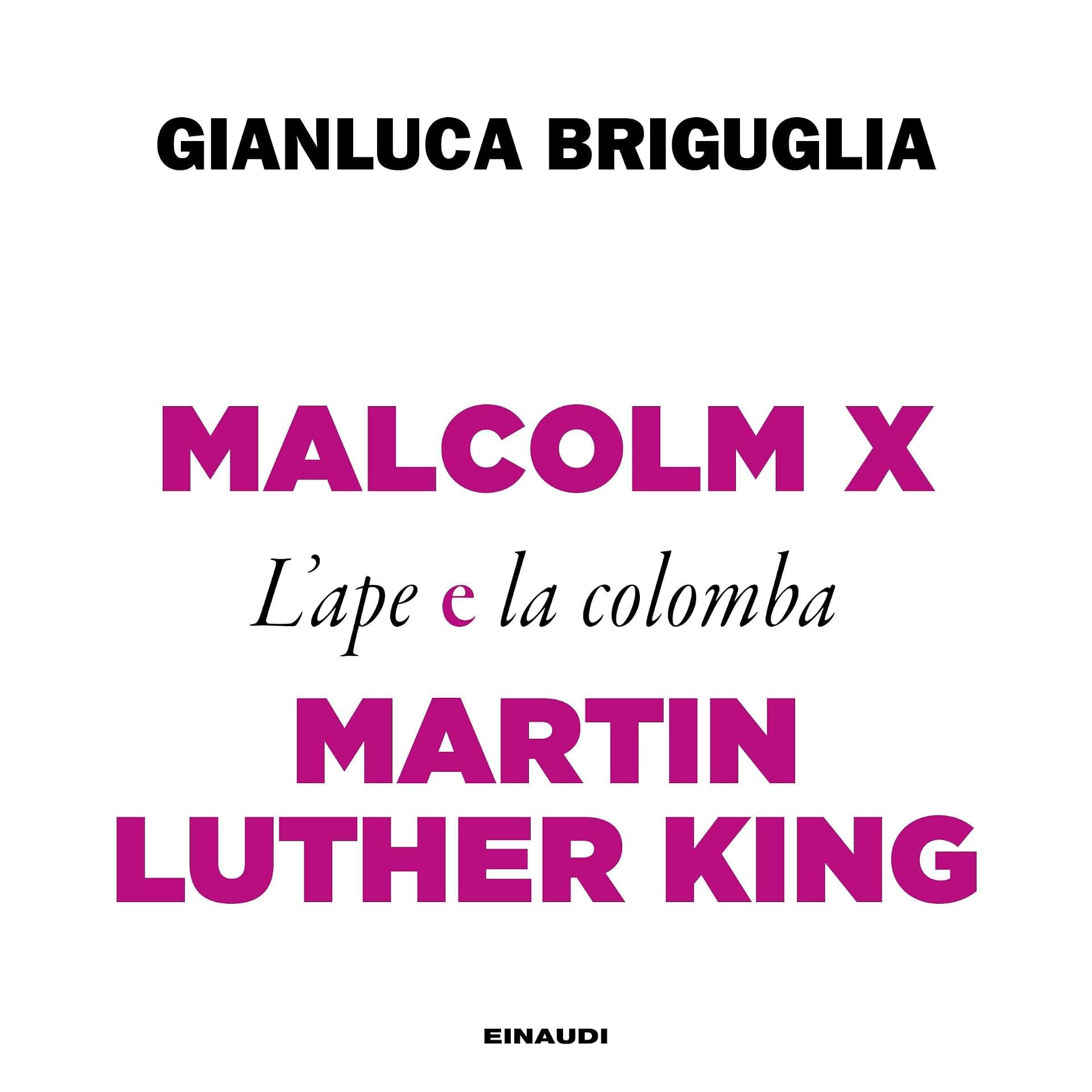 Carousel Item: Malcom X e Martin Luther King
