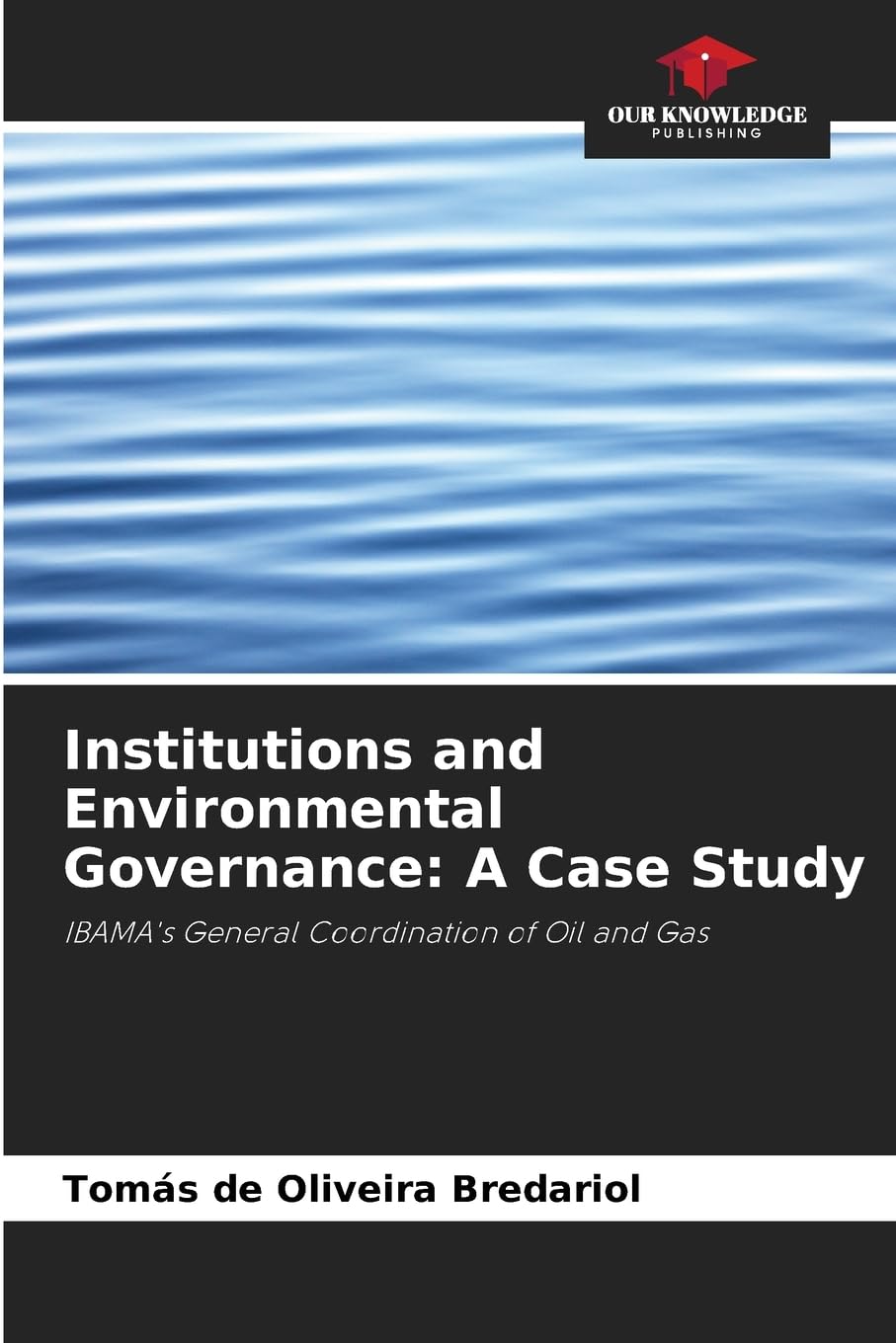 Institutions and Environmental Governance: A Case Study