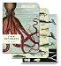 Cavallini Papers & Co., Inc. Sea Life Mini Notebooks 4 x 5.5