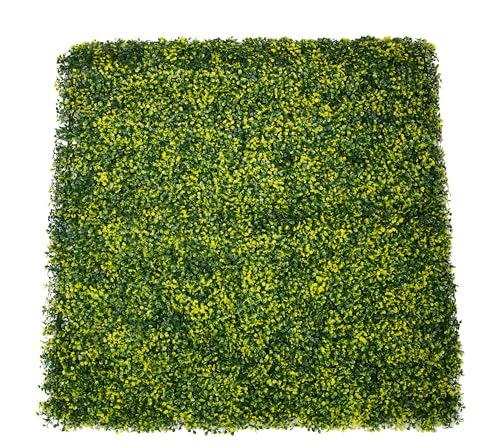 World PLANTIL Seto Decorativo Buxus, Jardín Vertical/Planta Artificial para decoración de Pared en Interior, Terraza, Jardín o Balcon | 100 X 100 cm (1m2)