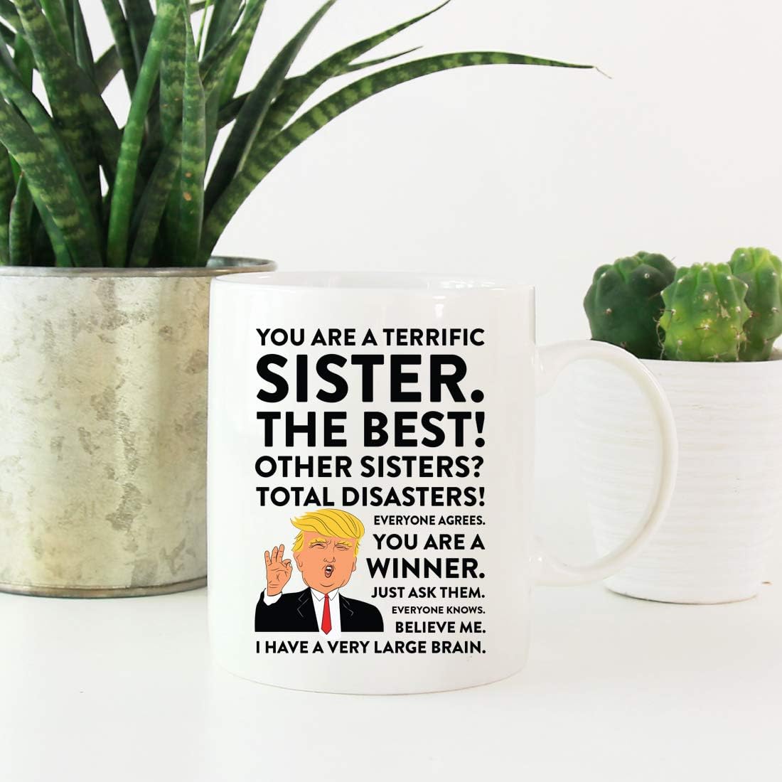 Andaz Press Funny President Donald Trump 11oz. Coffee Mug Gift, Terrific Sister, 1-Pack, Hot Chocolate Christmas Birthday Drinking Cup Republican Political Satire for Family in Laws