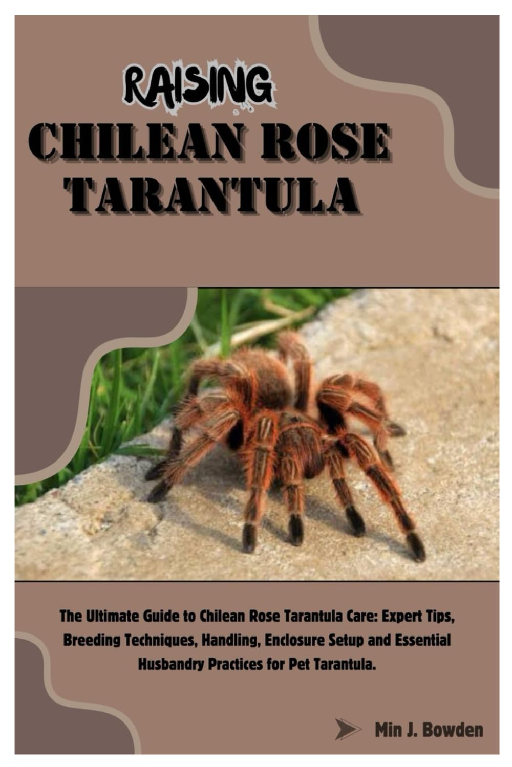 Raising Chilean Rose Tarantula: The Ultimate Guide to Chilean Rose Tarantula Care: Expert Tips, Breeding Techniques, Handling, Enclosure Setup and Essential Husbandry Practices for Pet Tarantula.