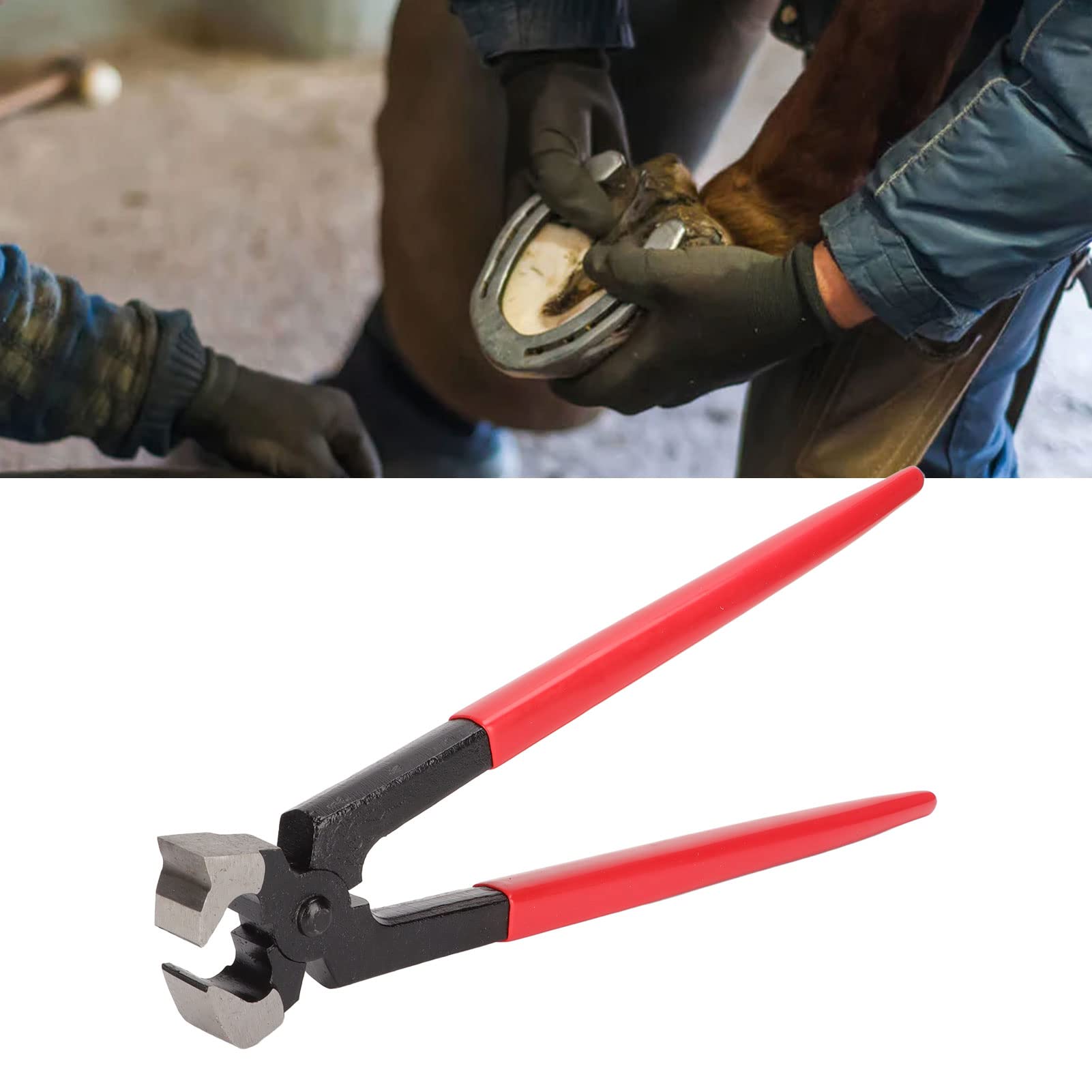 Cortadora profesional de pezuñas de caballo, cortador de pezuñas de acero resistente, herramienta para herrar para cuidado equino y uso agrícola, construcción de acero duradero de