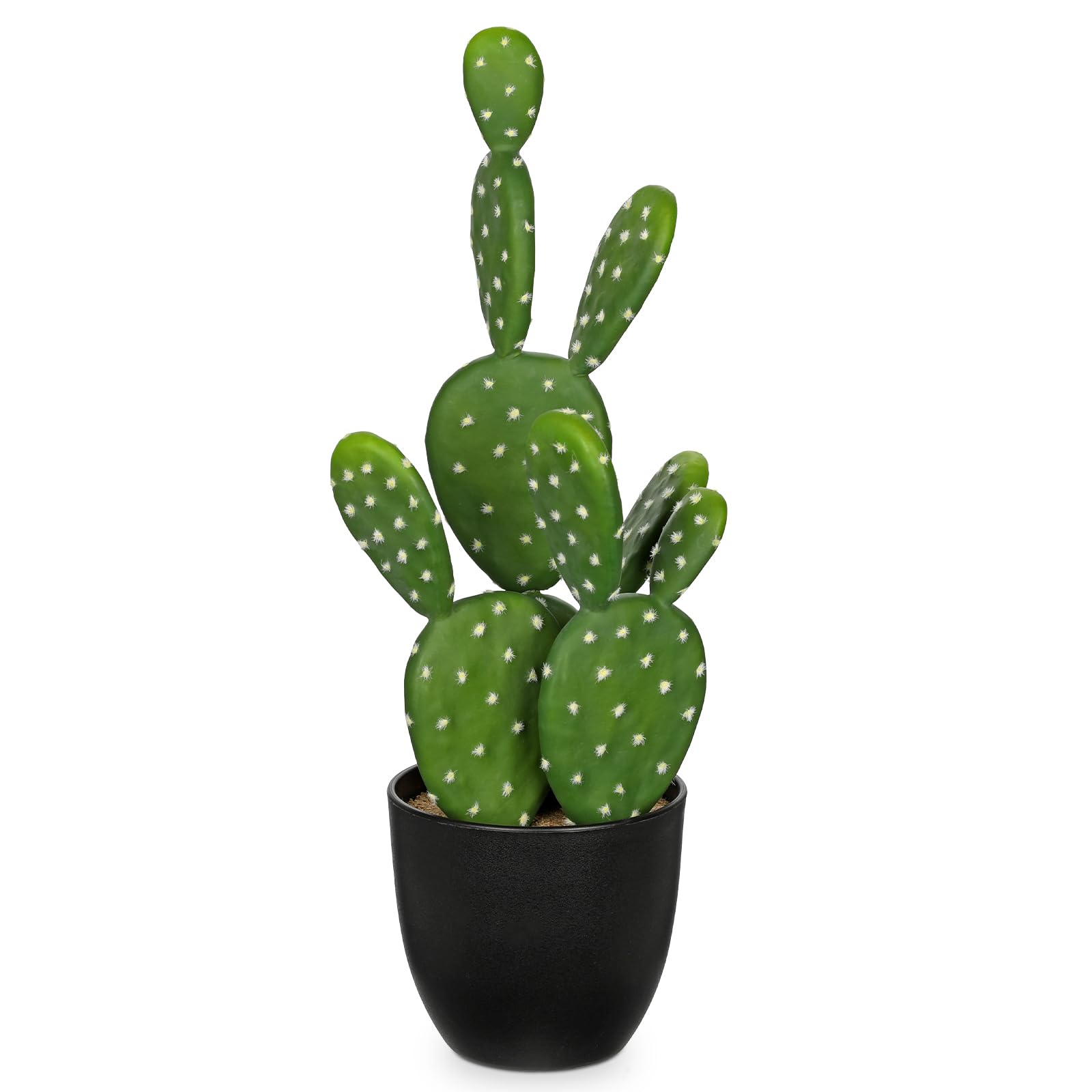DILATATA Small Fake Cactus Plant