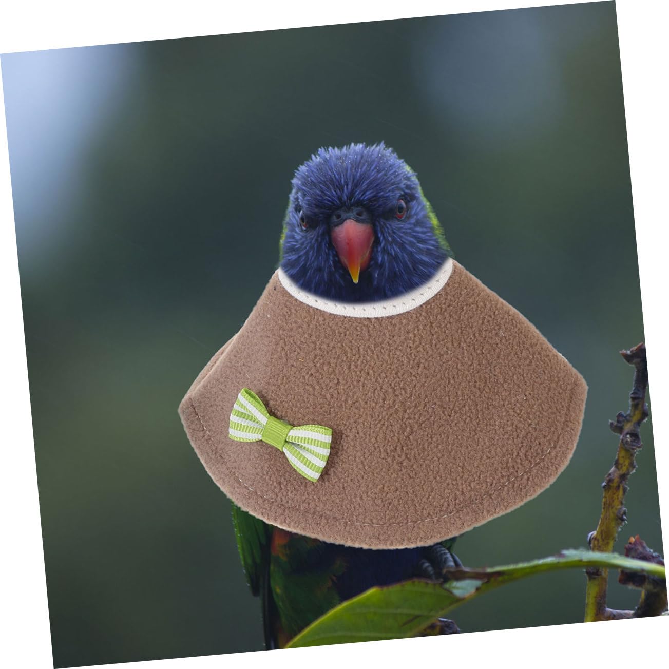 BCOATH Parrot Neck Protector Bird Collar Bird Cones for Recovery Soft Comfortable