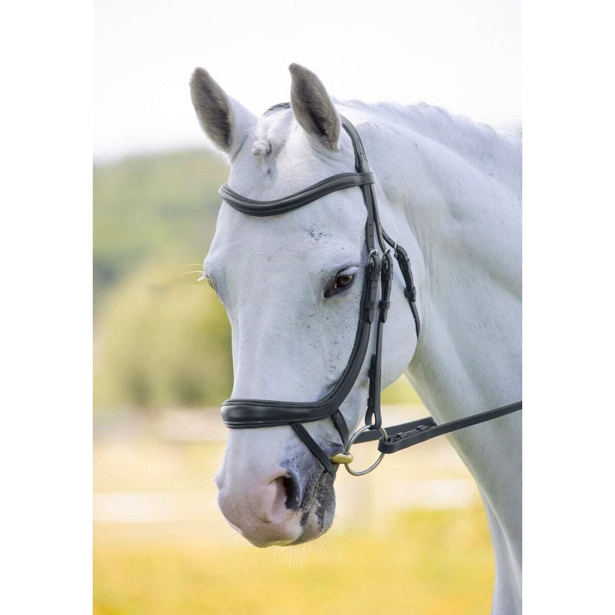 Shires Velociti - Brida ergonómica curvada para flash - Havana Cob