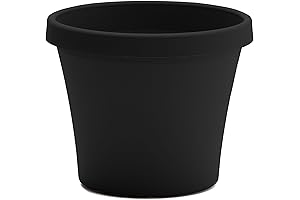 Durable Bloem Terra Pot Planter: Perfect for Outdoor Use