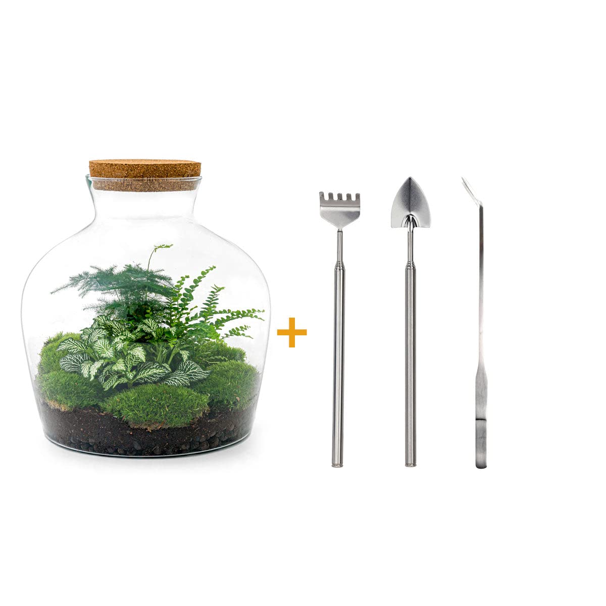 Ogród butelkowy • Fat Joe Green • Rośliny w szkle • ^ 30 cm - DIY - Terrarium Kompletny zestaw - Terrarium - urbanjngl | Zestaw do terrarium