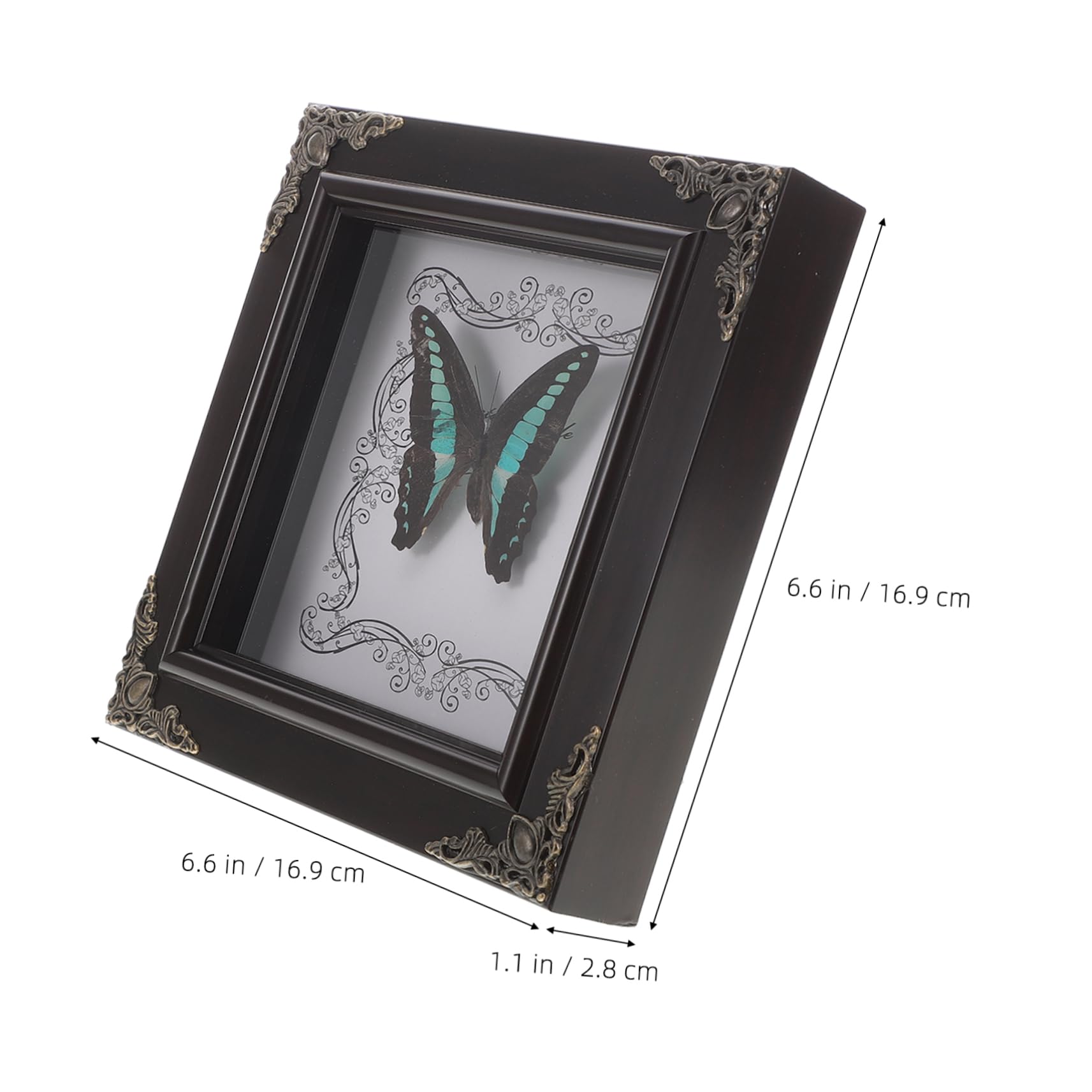 DECHOUS Framed Butterfly Specimen Real Butterflies Decor Unique Wall Art Display