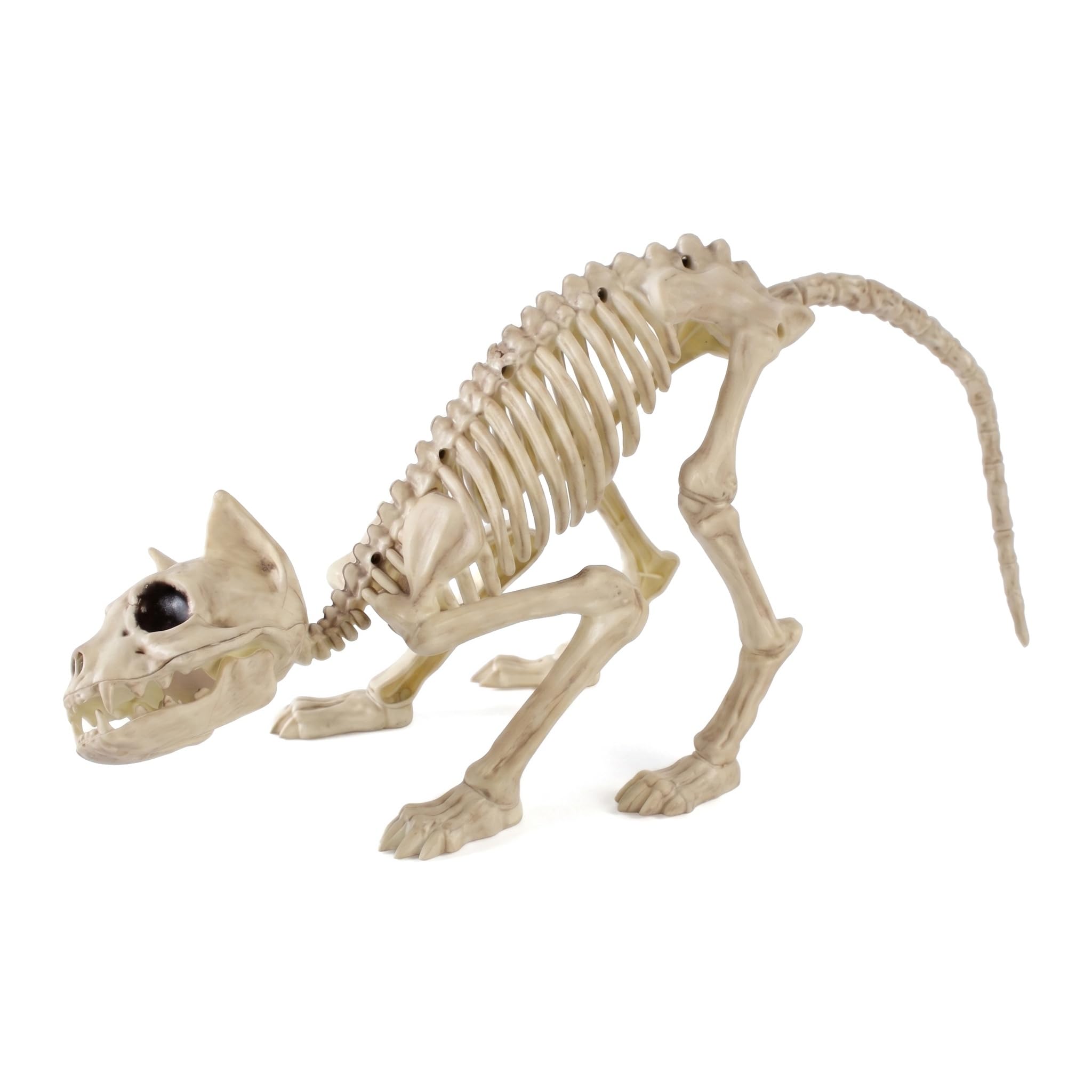 Halloween Cat Skeleton Decoration,Plastic Animal Skeleton Bones,Simulation Cat Skeleton Scary Model,Halloween Skeleton Props,Halloween Party Decorations for Haunted House,Garden,Patio (Cat B)