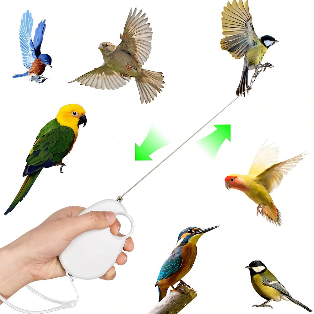 Harnais pour oiseaux - 6 m - Auto-rétractable - Pour perruches, calopsittes et perruches - Longicauda