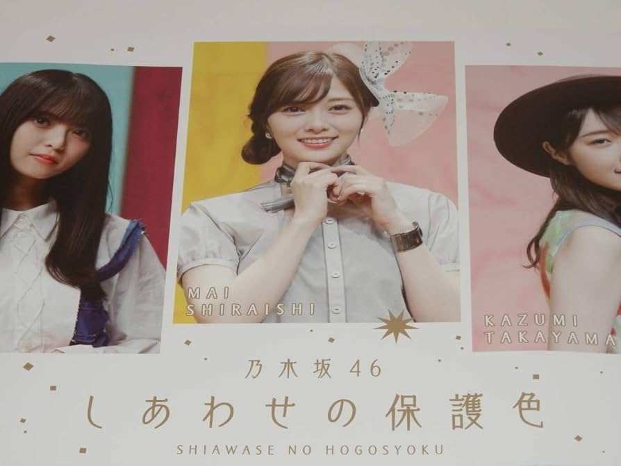 乃木坂46 個別B2ポスター しあわせの保護色 樋口日奈 希少 乃木坂46 個別B2ポスター しあわせの保護色 樋口日奈 希少 乃木坂46