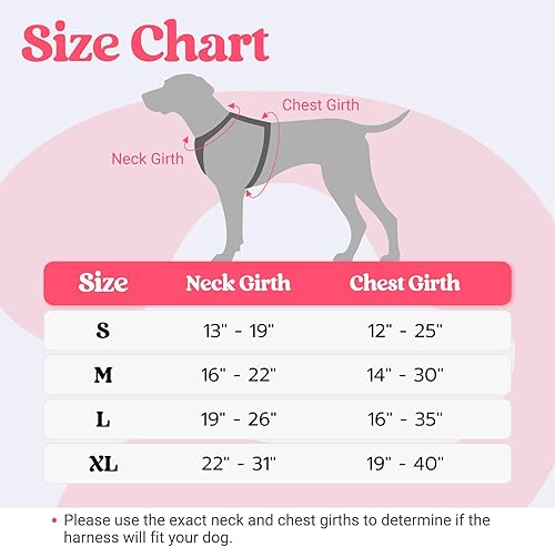 Miniatura 2 de rabbitgoo Arnés para perro de tamaño mediano, arnés para mascotas sin tirones con mango acolchado suave, chaleco reflectante ajustable con 3