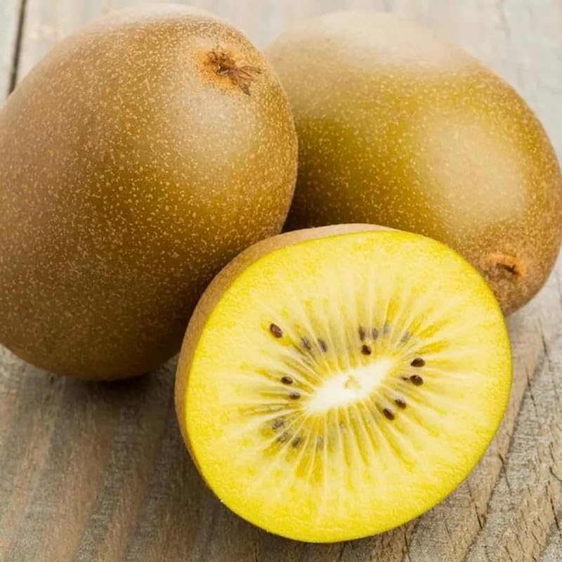 See full amazon price history chart for Growing kiwi from seed,kiwi berry seeds Pack of 20 Growing kiwi from seed,kiwi berry seeds Pack of 20 (B0D48Z73GK) Amazon Price History, Amazon Price Tracker