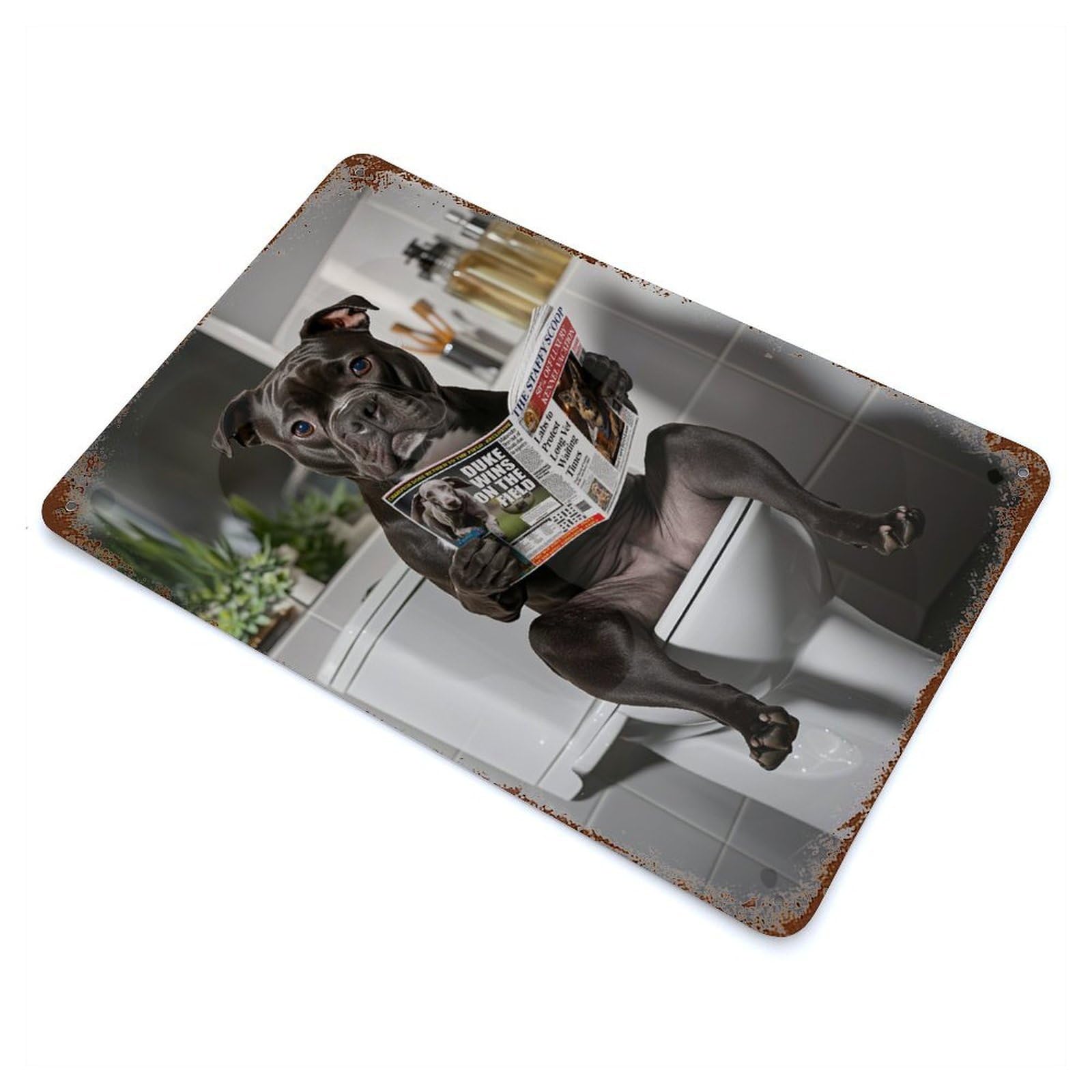Distressed Metal Wall Sign Staffordshire Terrier on The Toilet Reading Newspaper 11.8"x7.9", Vintage Wall Decor for Cafe, Home Bar And Lounge Decor