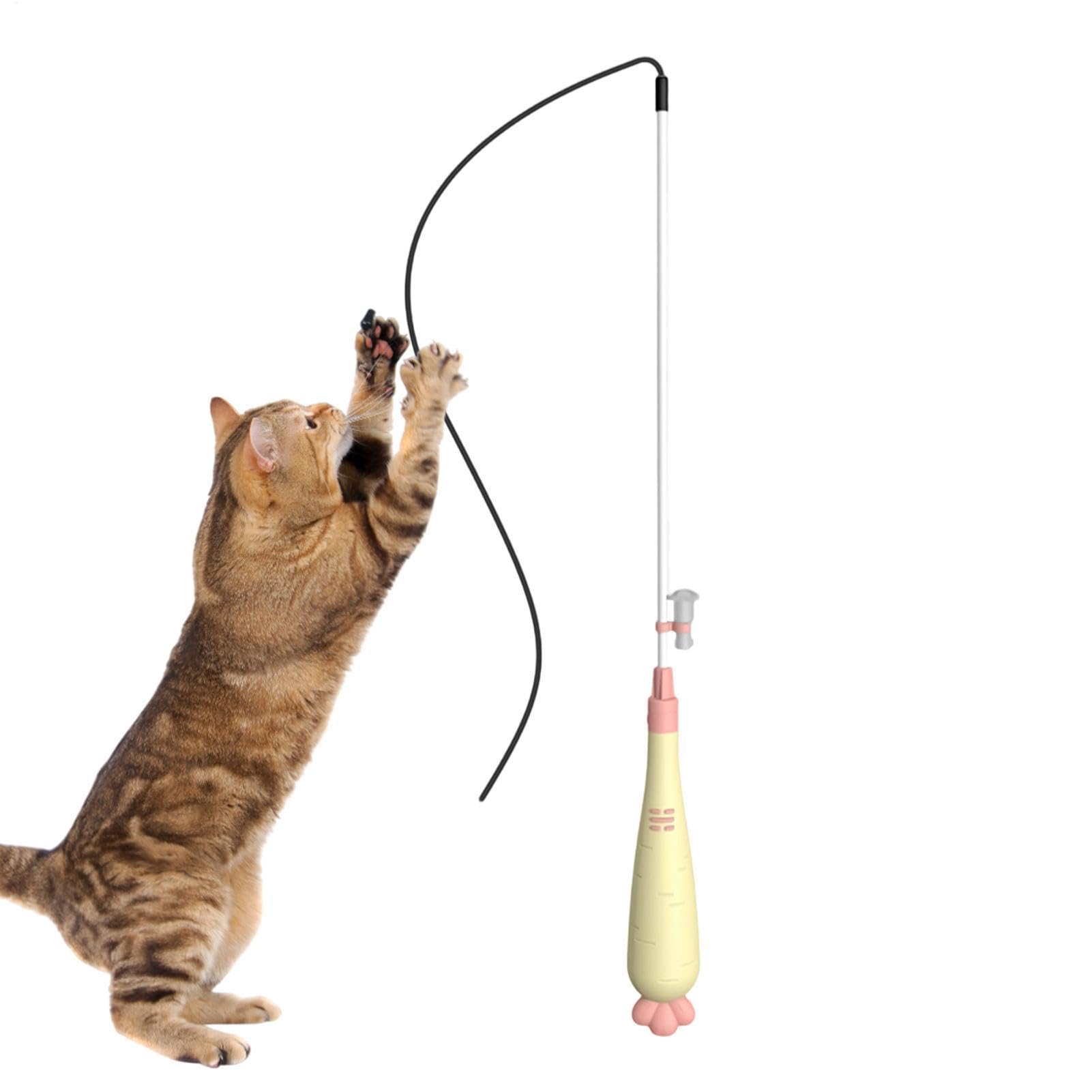 Jouet pour chat canne de jeu interactive avec recharges et lumière