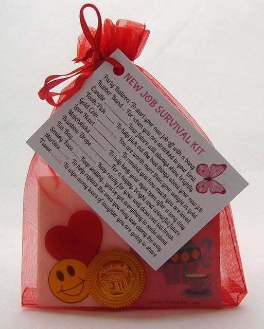 New Job Survival Kit Gift For New Job, New Career Leaving Present Thank You by clever little gifts (Radiant Red) (Radiant Red)